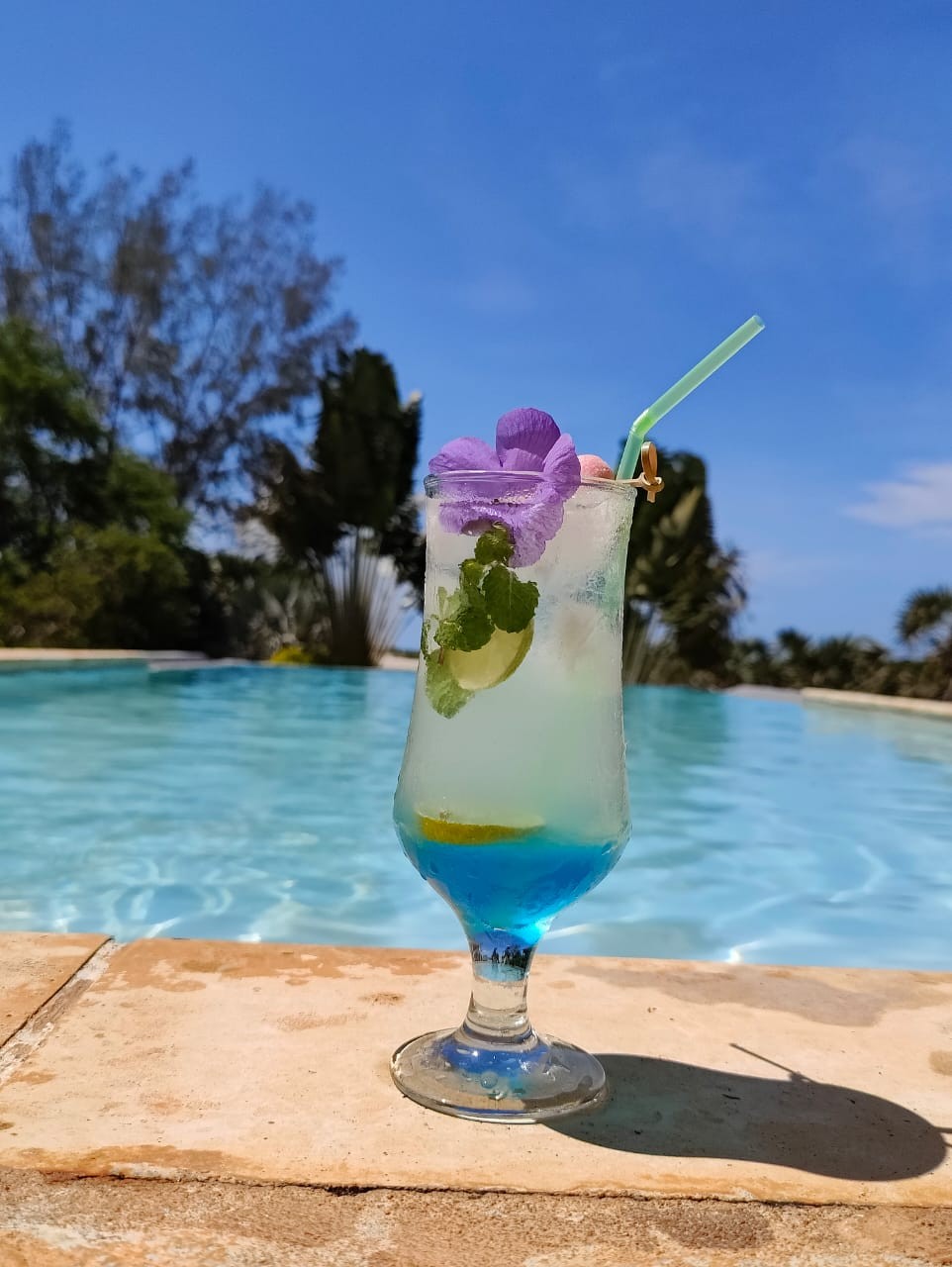 Cocktails tropicaux maison, bar hotel